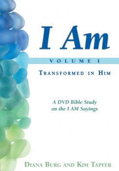 dvd-bible-study9